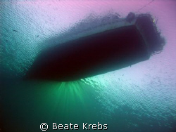During an Early Morning Dive from shore , Canon S70  by Beate Krebs 